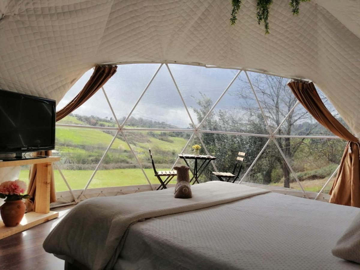 Glamping Quintana Hotel Gijon Exterior photo