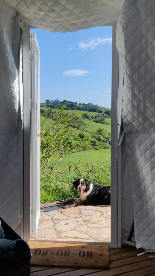 Glamping Quintana Hotel Gijon Exterior photo